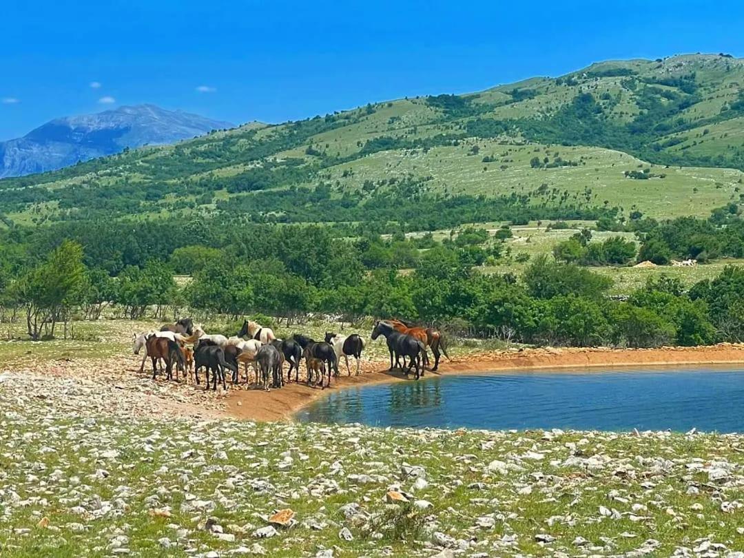 Holiday Resort Zlatni Dol Mostar Goranci Экстерьер фото